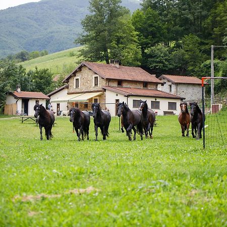 Agriturismo Carovane Compiano Exterior photo