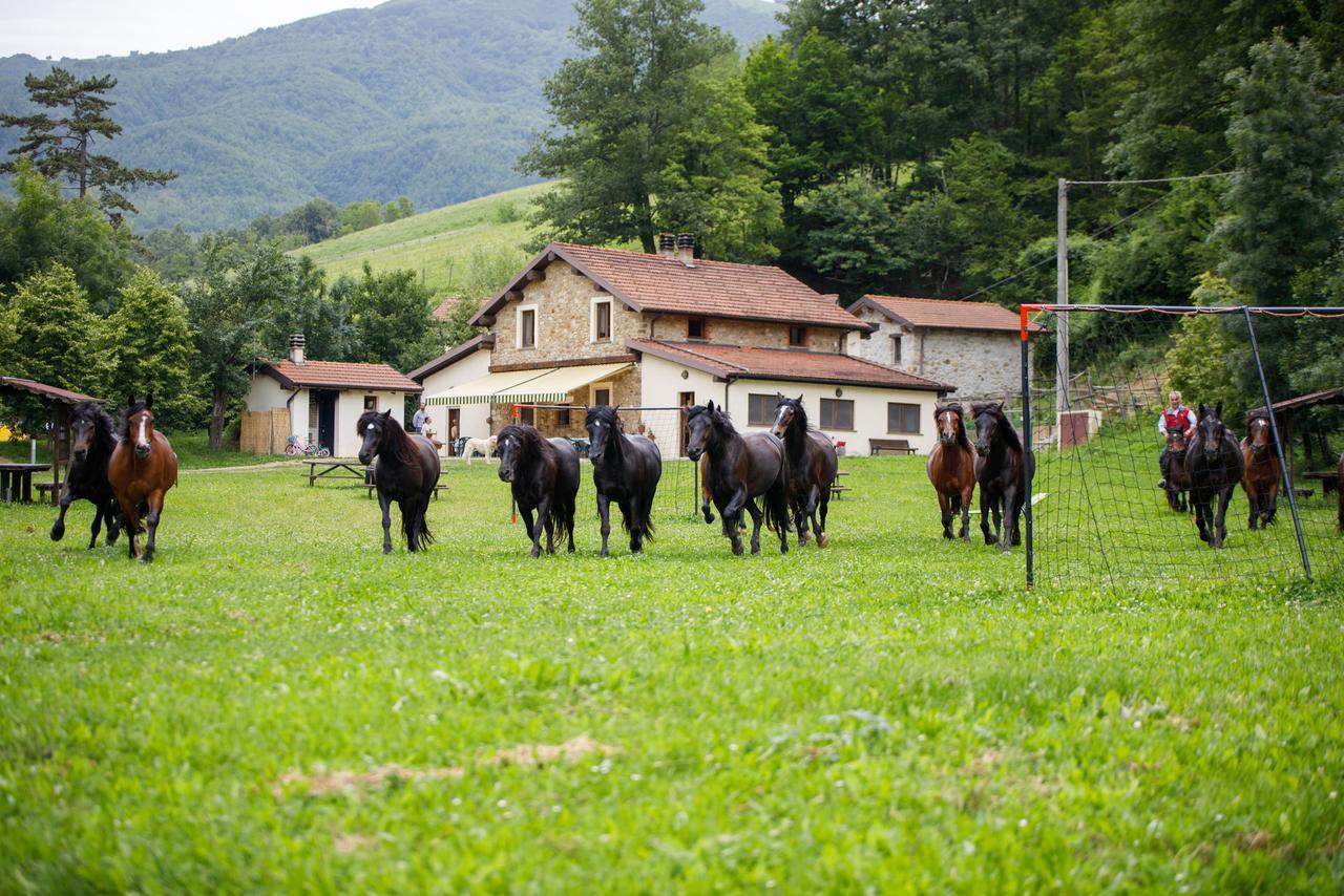 Agriturismo Carovane Compiano Exterior photo